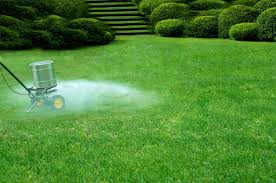 what lawn fertilizer should i be using now houseman pest