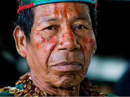 Lenguas indígenas: protección, conocimientos y esperanza