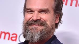 What You Don't Know About David Harbour