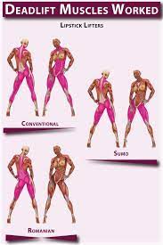 This movement is carried out by the contraction of the quadriceps, which are the four prevailing muscles on the fleshy front of your thigh. Deadlift Muscles Worked Deadlift Muscles Worked Deadlift Weight Training Women