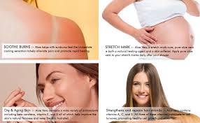 Amazon.com: THE LOVE CO. Aloe Vera Gel