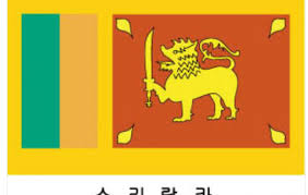 아울수 장민욱이 문경인 평가한 글... - 길거리 농구 마이너 갤러리