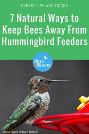 Birds Blooms Magazine Review 7 Natural Ways To Keep Bees Away From Hummingbird Feeders Humming Bird Feeders Keep Bees Away Birds