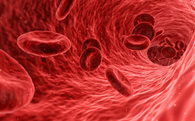 Rh Negative Blood and Pregnancy – Pregnancy Birth and Beyond