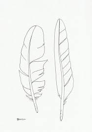Birds Of A Feather 2 Original Ink Line Drawing 2 Seabird Feathers Etsy Feather Drawing Ink Pen Drawings Feather Sketch