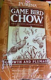 Southern states sporting bird starter (avt) medicated is a complete starter feed for gamebirds and turkeys. Purina Startena Game Bird Chow 50lb Bag Shell S Feed Garden Supply