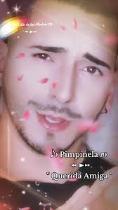 Pimpinela Querida Amiga