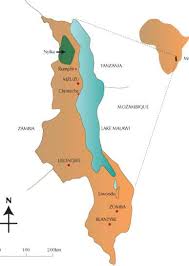 Image result for Trichopteryx marungensis