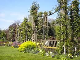 Regents Park Rope Swags Jardins