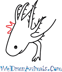 Intense colors, sharp lines, glossy finish. How To Draw An Axolotl