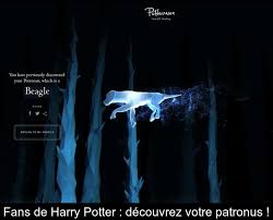 Fans De Harry Potter Decouvrez Votre Patronus Tout plein de fan art sur l'univers de harry potter! fans de harry potter decouvrez votre patronus