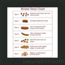 Bristol Stool Chart 6 X 6 Black Frame Great Gift