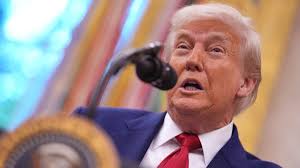 The internet is using TACO memes to call Trump a chicken and the results  are hilarious