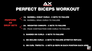 The Perfect Biceps Workout Biceps Workout Biceps Workout