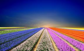 Amazing Desktop Wallpapers For Widescreen Quality Desktop 4k Images Full Screen 2048x1256 Wallpaper Teahub Io Choose from hundreds of free 4k backgrounds.