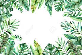 Check spelling or type a new query. Colorful Watercolor Frame Border With Colorful Tropical Leaves Stock Photo Picture And Royalty Free Image Image 75998989