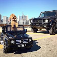 Mercedes Benz On Instagram Squad Goals Spring Edition Photo By Mrkobeandme With Supercarpups Mer Mercedes Benz G Class Squad Goals Monster Trucks