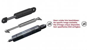 Ziur zaude txio hauek ikusi nahi dituzula? Hinscha Gas Spring Alt Novotec S 230005 1150n
