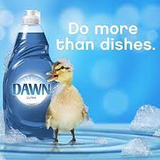 Some bottles of dawn have do not add bleach on a 1987 dawn magazine ad reads introducing new tougher dawn. Washing Your Bike In The Winter Bike Attack