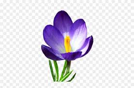 We did not find results for: Spring Clipart Spring Flower Transparent Background Free Transparent Png Clipart Images Download