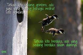 Semua insan sedang gembira di hari ini sayang hari yang mulia marilah bersama berhari raya hilangkan duka lupakan saja kisah yang lalu gantika. Tatkala Kita Sedang Gembira Ada Juga Yang Sedang Bahagia Melihat Kita Gembira Dalam Hatinya Bersyukur Kerana Dimakbulkan Doanya Agar I Can Funny Cute Belive