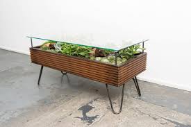 Coffee table terrarium i made. Hackney Botanical Makes Plant Filled Tables From Reclaimed Window Frames