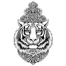 Coloriage indien gratuits à imprimer. Tigre Indien Amelie Claire Illustration Traditionnelle