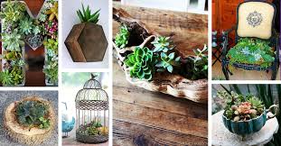 Succulents make great houseplants, especially if you tend to forget to water! 33 Best Diy Indoor And Outdoor Succulent Planter Ideas For 2021