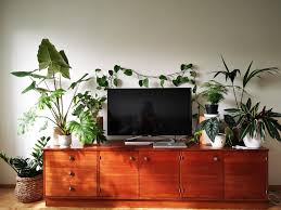 We did not find results for: Tv Setup Plants Rugs In Living Room Home And Living Plant Decor Indoor