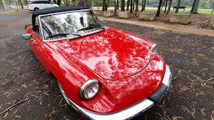 Image result for Venetian Red 1983 Alfa-Romeo
