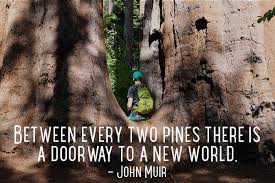 This collection of new year quotes and sayings inspire you to see the new year as a fresh start and a new chapter in your life, just waiting for you to fill it with new experiences. 114 Of The Best Hiking And Adventure Quotes Of All Time Runrepeat