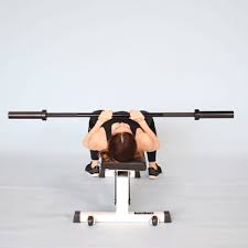 What size is a bench press bar? Bench Press Muscles Worked Benefits How To Variations More