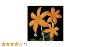 Orange range 花