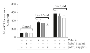 Image result for Afrostyrax