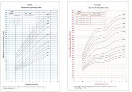 Reference Norms For Evaluating Maximum Expiratory Flow Of