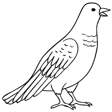 Maybe you would like to learn more about one of these? Gambar Burung Merpati Mudah Digambar Gambar Burung Burung Gambar