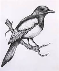 Easy Simple Bird On Branch Drawing Simple Bird Drawings In Pencil Here S A Little Birds Bird Drawings Bird Sketch Shading Drawing