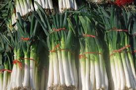Depelope mulus appsbooks & reference. Bawang Daun Potensi Herbal Yang Tersembunyi Satu Harapan