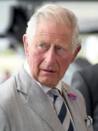 Non solo Harry e Meghan: tutte le volte che la royal family ha portato in  tribunale la stampa