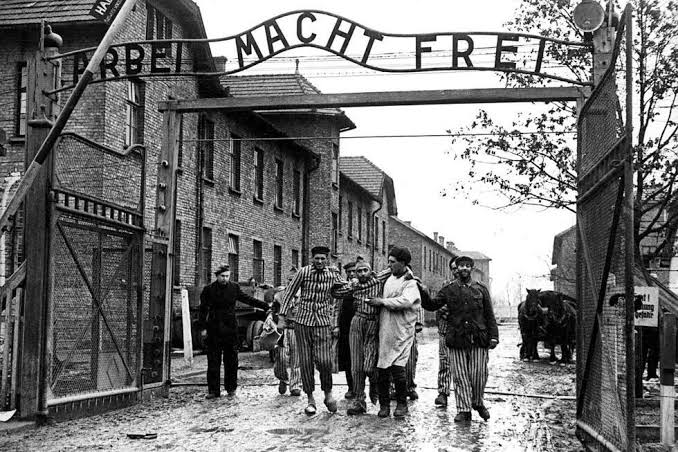 The liberation of Auschwitz: What the Soviets discovered on January 27,  1945 - France 24