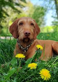 Something to brighten the day