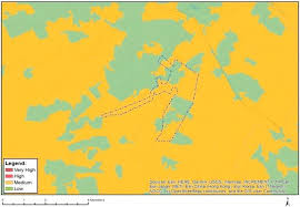 Image result for Linderniella wilmsii
