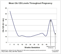 adnexal masses in pregnancy