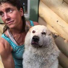 Fundraiser for Nicole Fortin by Melanie Irwin : Help For Nicole And Her Dogs