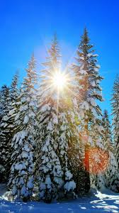You can use any of these winter wallpaper options for either your home screen, lock screen, or both. Winter Backgrounds For Iphone Hd Pixelstalk Net