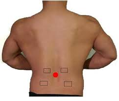 Do not massage directly on the bony portion of the spine. Types Of Back Pain Hometown Family Wellness Center