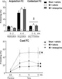 How to prevent heart inflammation. Plos One Inhibition Of Inflammation By Minocycline Improves Heart Failure And Depression Like Behaviour In Rats After Myocardial Infarction