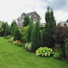 Backyard Landscaping Ideas The Ideal Southern Garden Starts With A Sensation Obtain Influe Privacy Landscaping Landscape Design Backyard Landscaping Designs