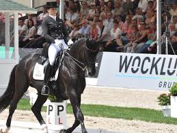 Dressurreiterin lisa müller ist auf dem weg in die weltspitze. Reiten Vom 18 Bis 20 September Deutsche Meisterschaft Ausschliesslich In Der Dressur Lokalsport