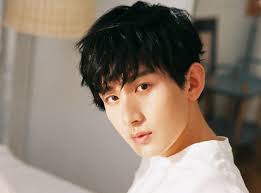 Tiểu sử Thành Nghị